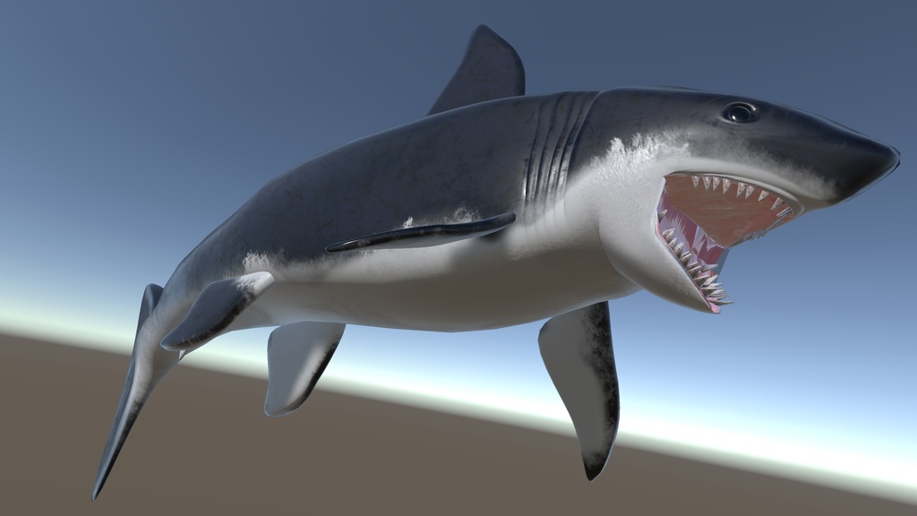 3Dモデル 鮫 [Shark] - 三叉屋 - 2/7