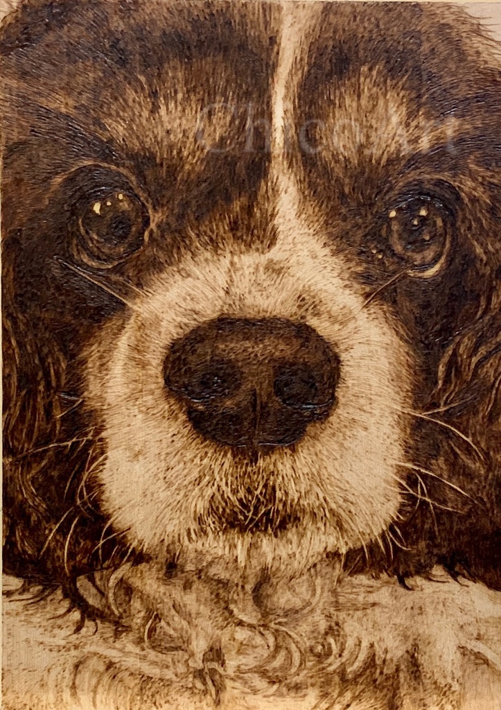 オーダーメイド A4