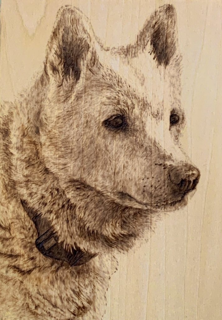 展示会限定オーダー