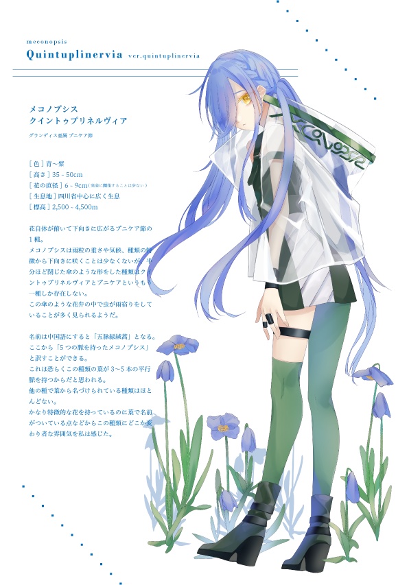 イラスト集「meconopsis-synopsis vol.1」