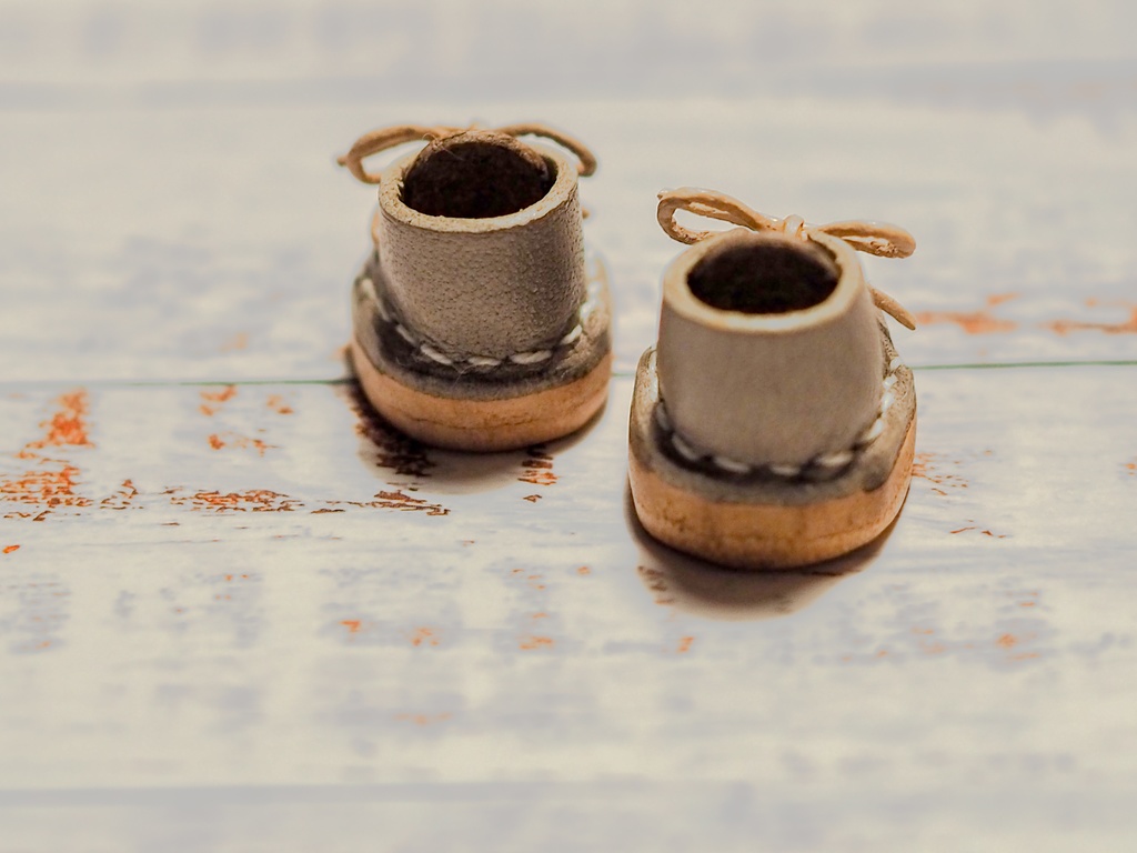 Bitter & Sweet ぬい靴【Mサイズ】