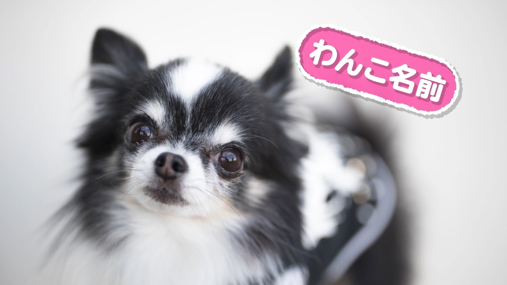 サイズ自動調整!スクエアボックステロップ