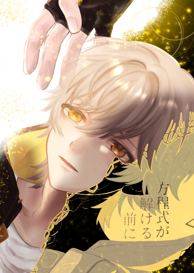 方程式が解ける前に