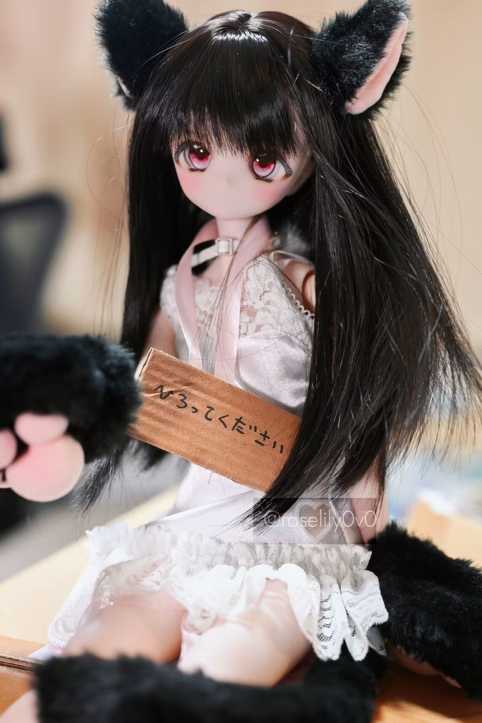 【Minskaya】レジンアイ22mm~24mm「ネコカフェ」追視アイ