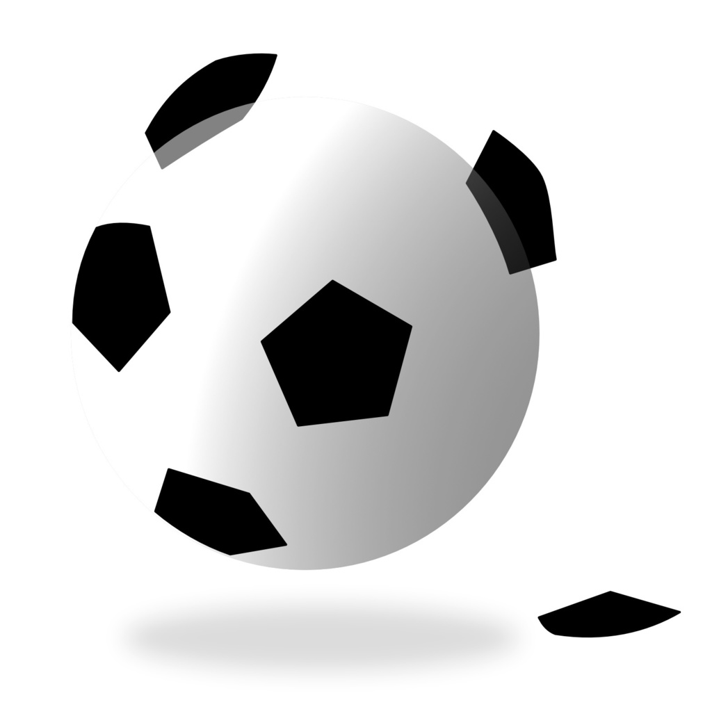 パンダのようなサッカーボール