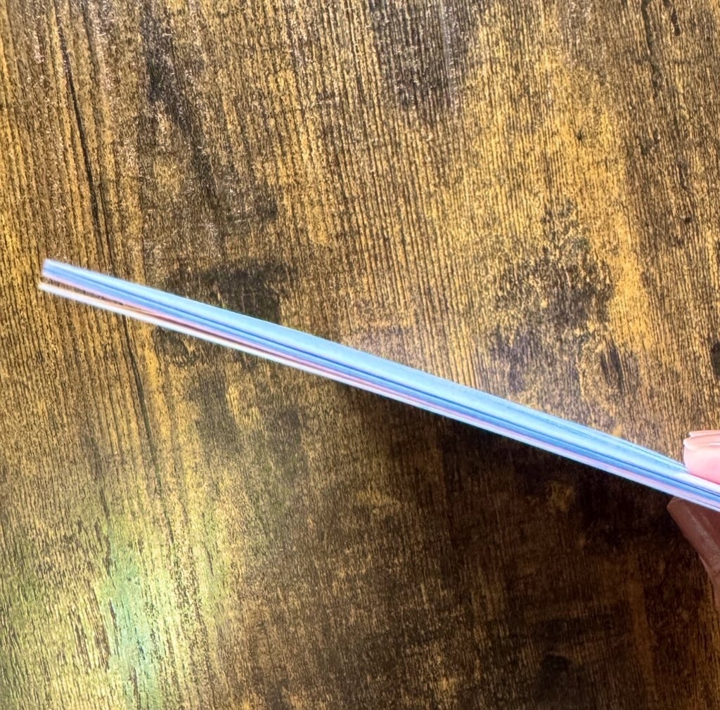 【ししさめ】まだ、一度めのエンドロール