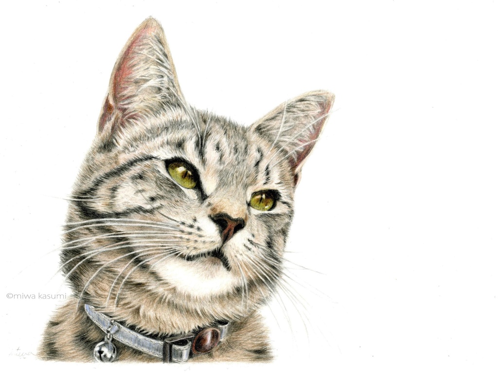 猫の絵はがきセット　色々ねこ