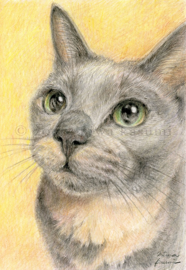 猫 ネコ cat 絵画 ハンドメイド 原画 イラスト 日本画風 メッセージカード