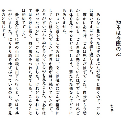 「ごんぎつね」二次創作小説アンソロジー(倉庫から発送)
