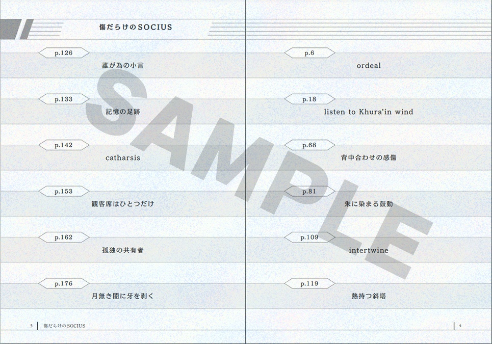 傷だらけのSOCIUS