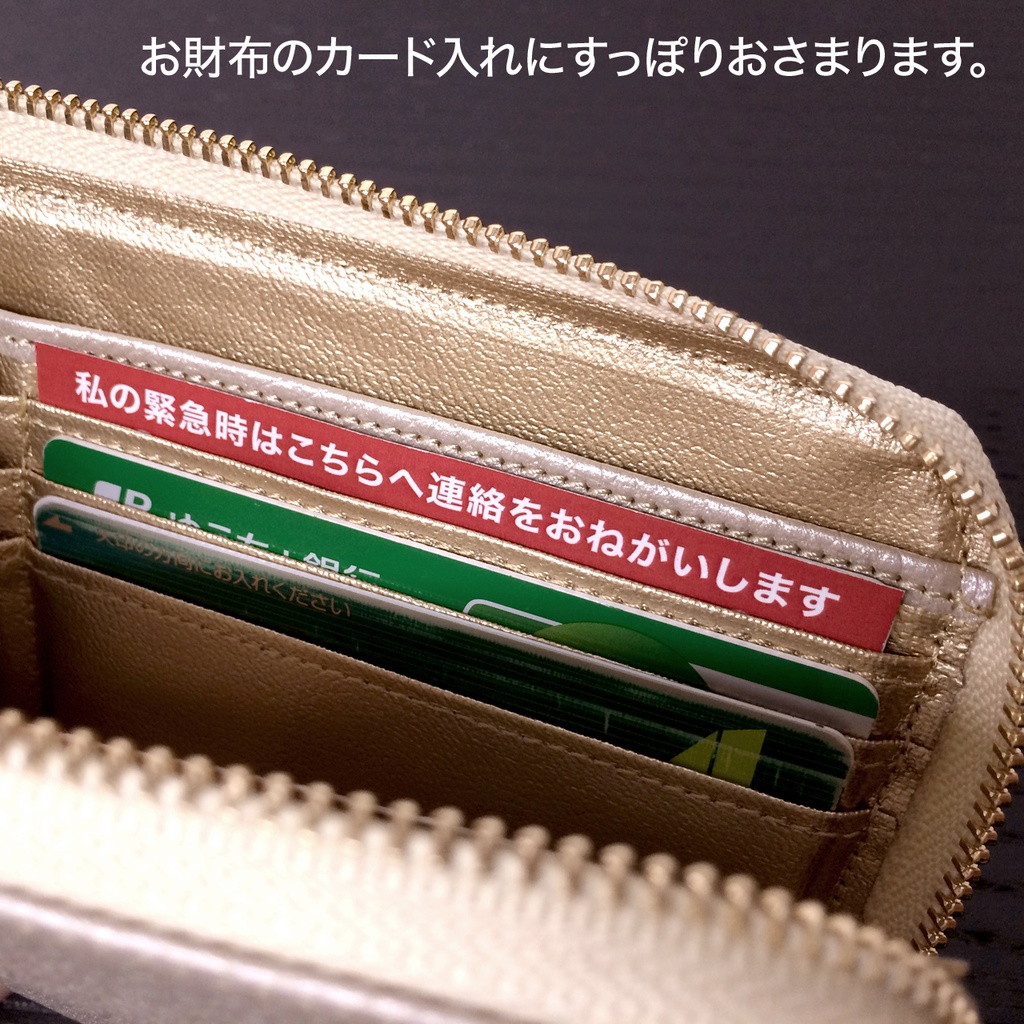 猫のレスキューカード(PDFデータ)無料