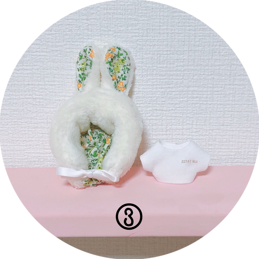 うさずきんセット ꪔ̤̥