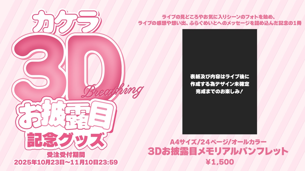 【完全受注生産】カケラ3Dお披露目メモリアルパンフレット
