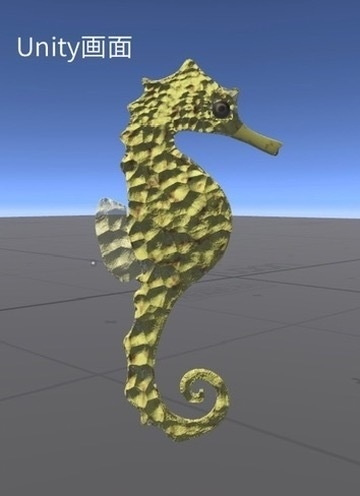 【無料】Ocean Research Pack|海洋生物3Dモデルセット【素材】