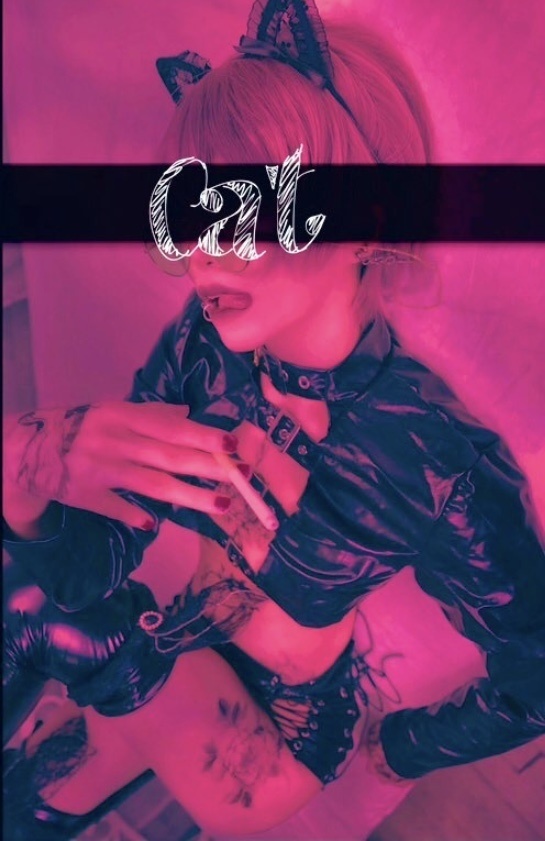 【新刊】創作猫写真集