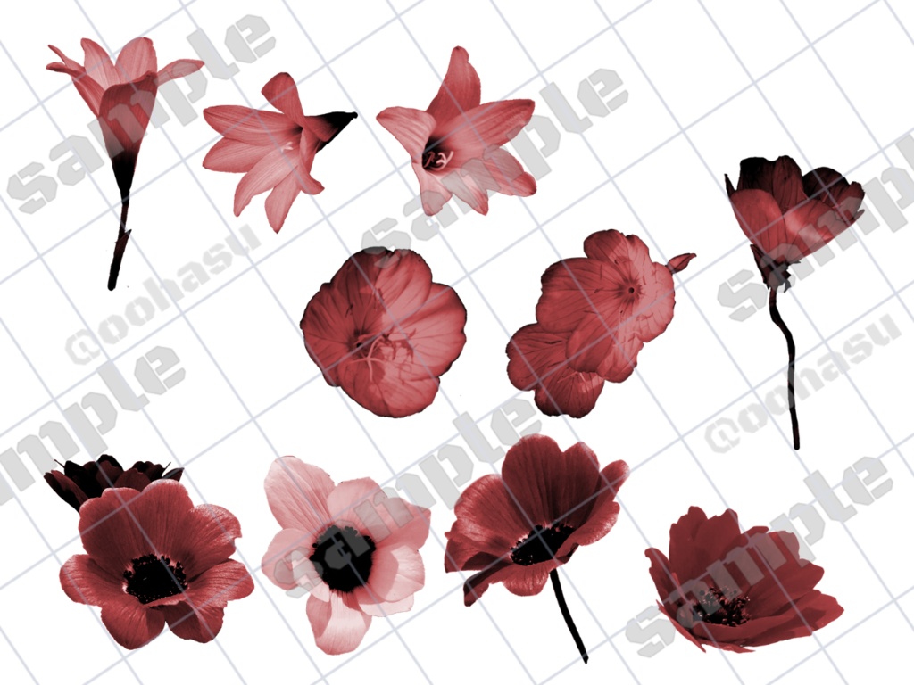 【無料有】赤い花の部屋素材