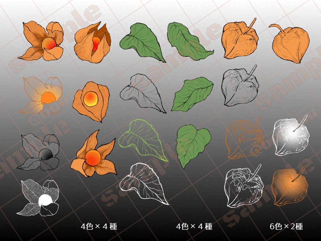 手描きホオズキ素材