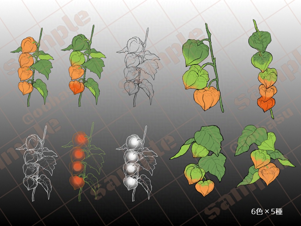 手描きホオズキ素材