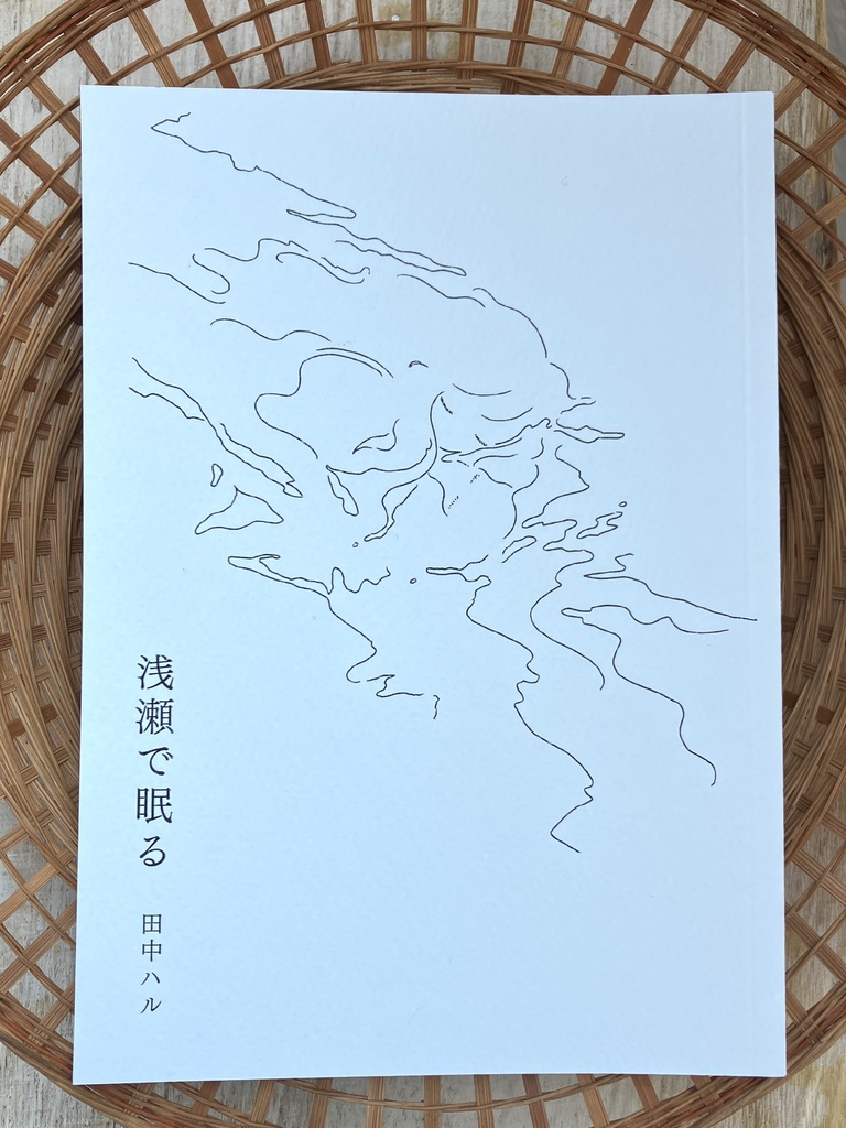 浅瀬で眠る〈散文詩集〉