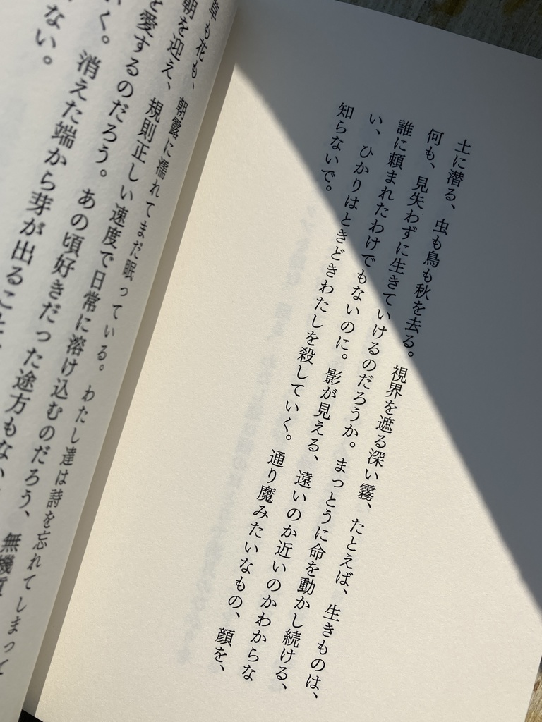 浅瀬で眠る〈散文詩集〉