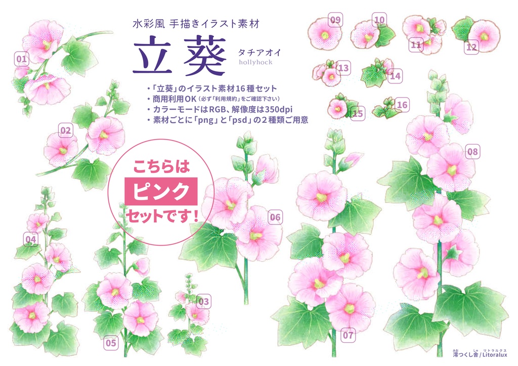 【水彩風 花のイラスト素材】「立葵」商用利用可(手描き_アナログ風_タチアオイ_ピンク_白_赤_きれいな_かわいい_二十四節気_夏_png_psd_holly hock _flower_stock images)