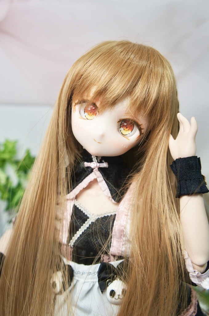 カスタムヘッド　ドール　DDH-27 セミホワイト肌　⑤