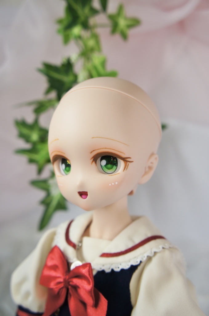 カスタムヘッド ドール DDH-27 フレッシュ肌 みどレンジャー