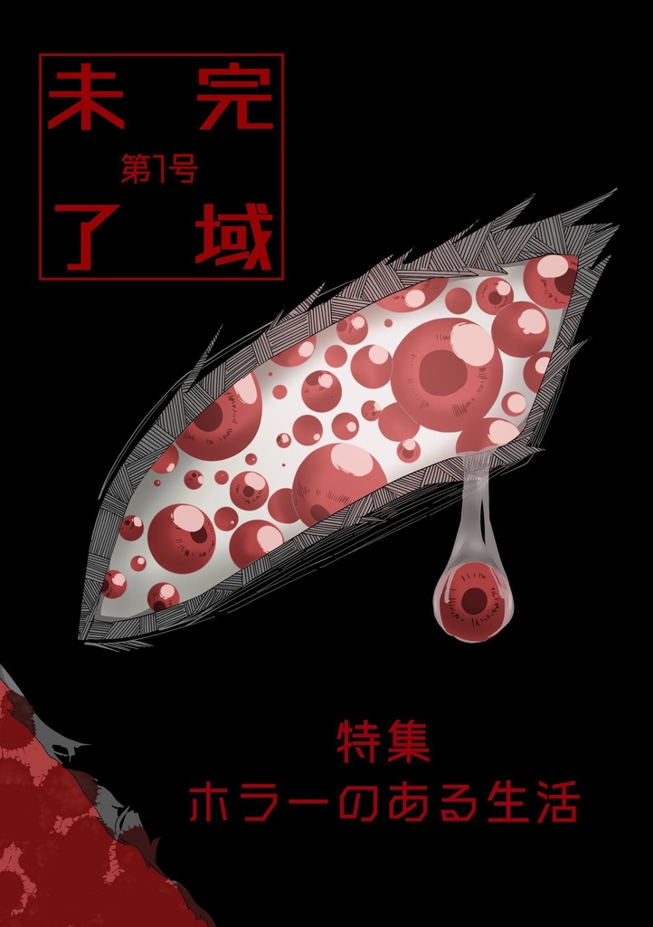未完了域 第1号(書籍版)
