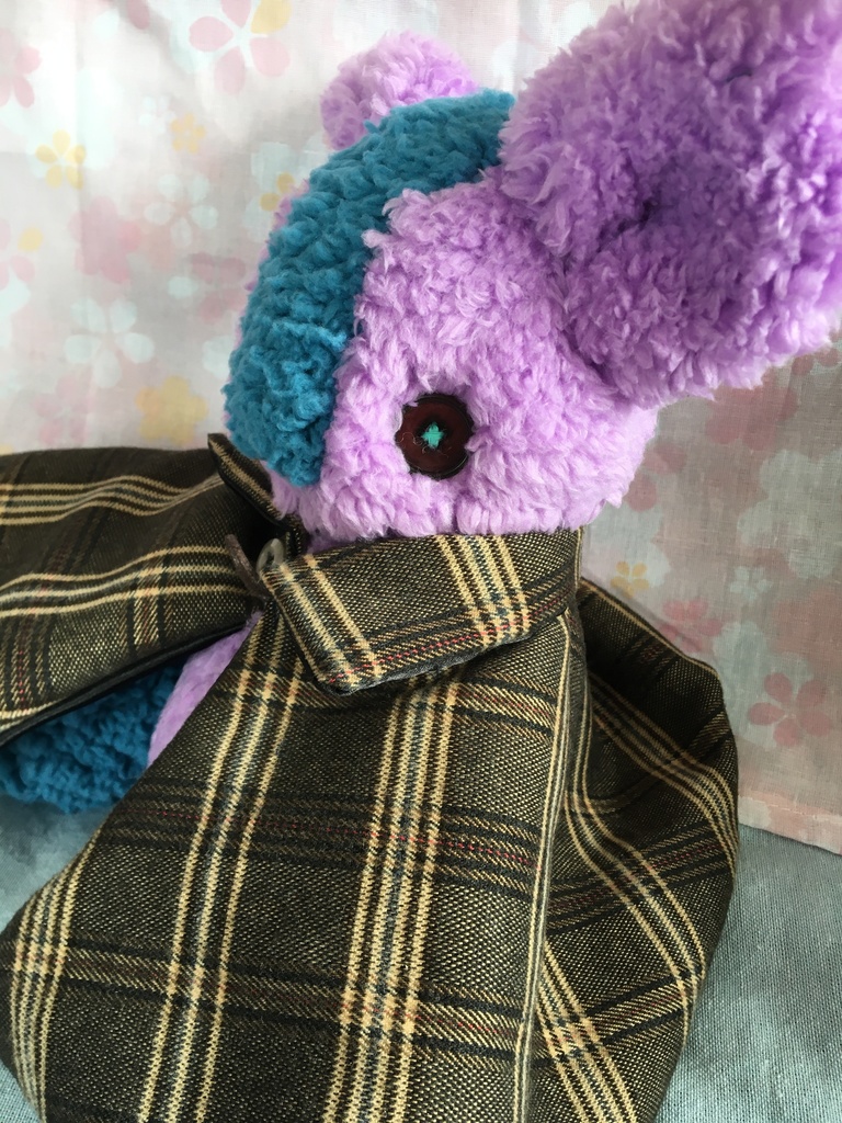 コルコット 迷子