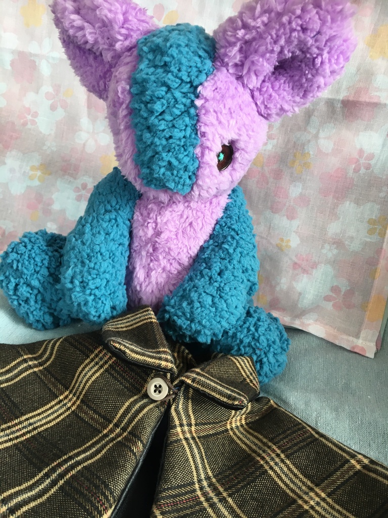 コルコット 迷子