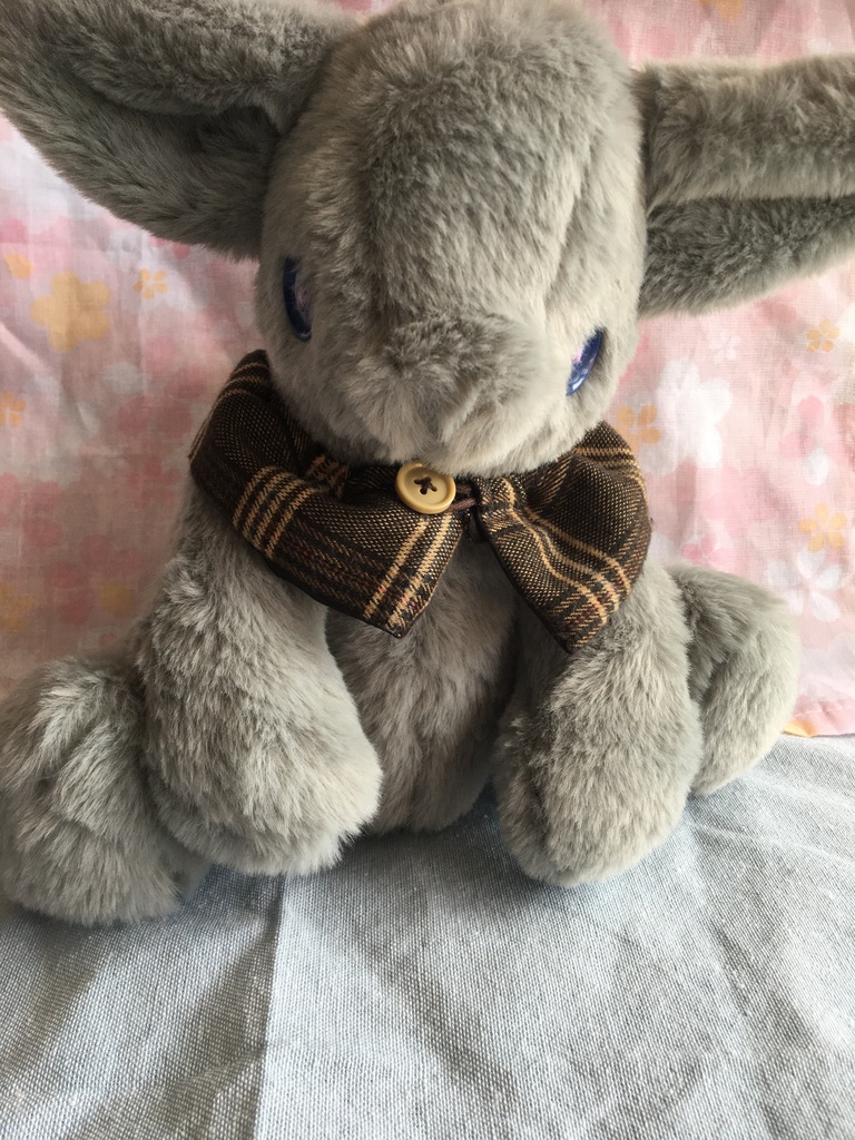 コルコット 憧憬