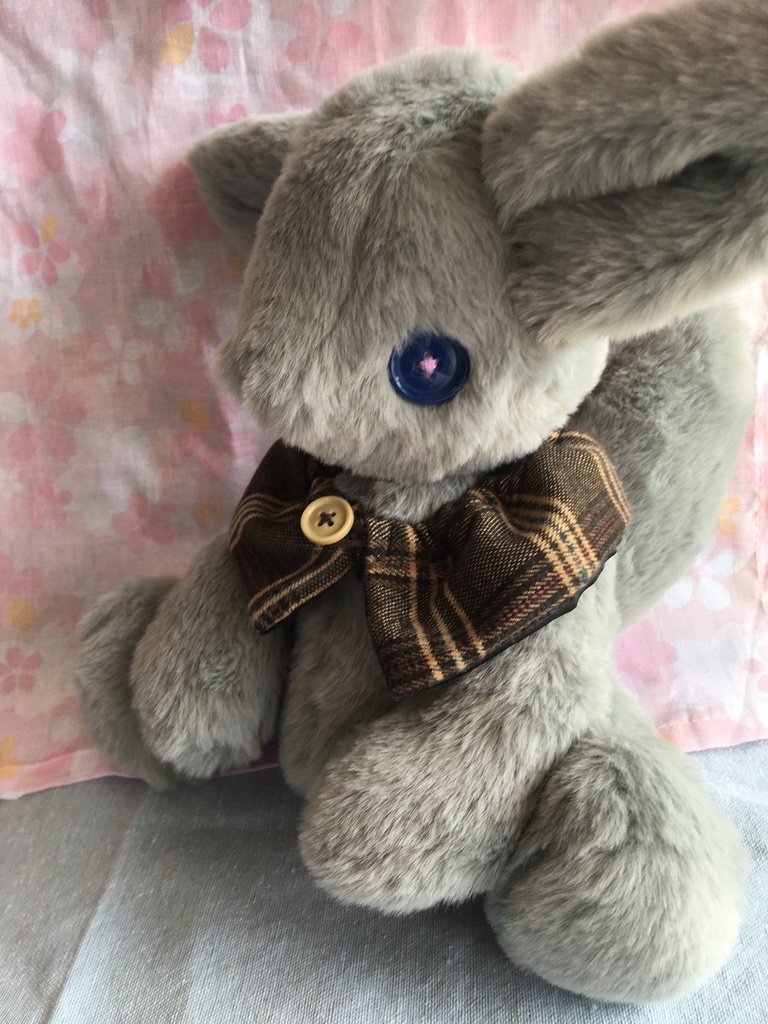 コルコット　憧憬