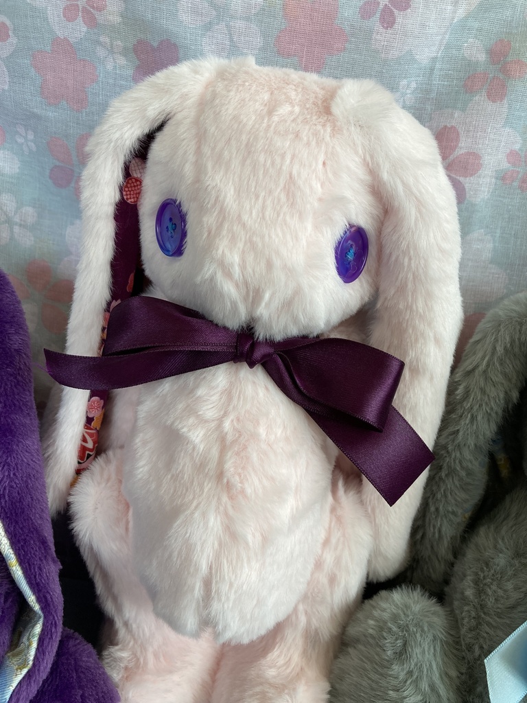 コルコット 桜兎