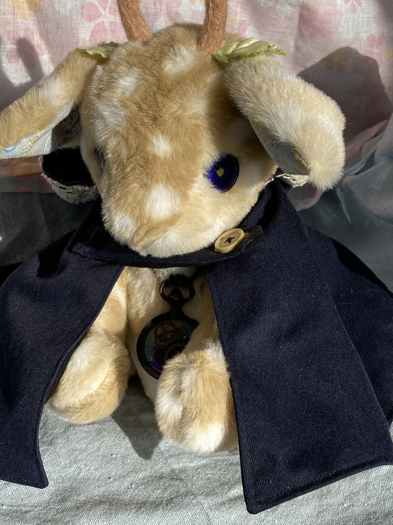 コルコット 季節を運ぶ双子 B