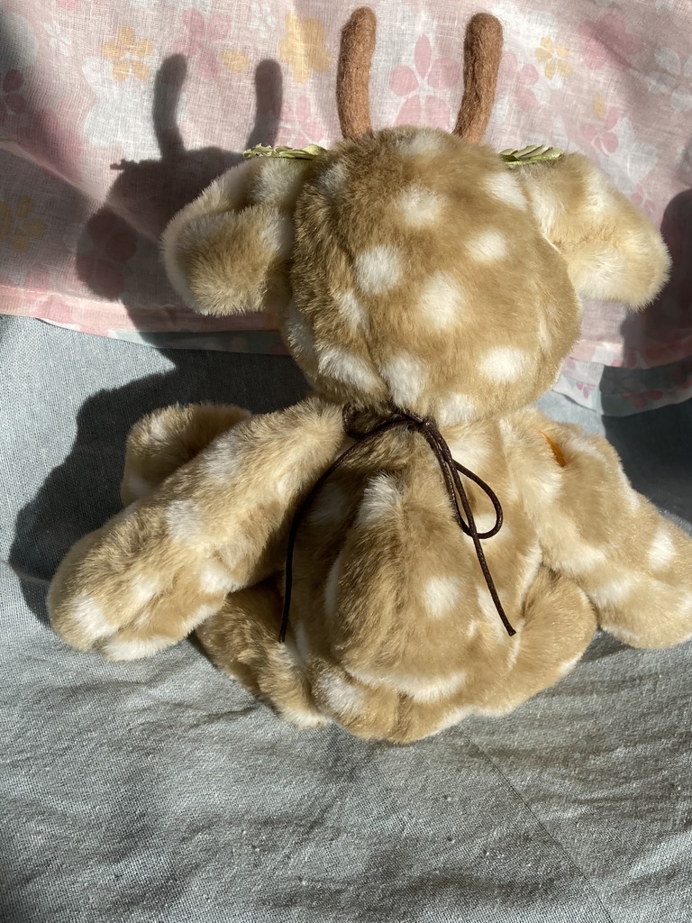 コルコット 季節を運ぶ双子 B