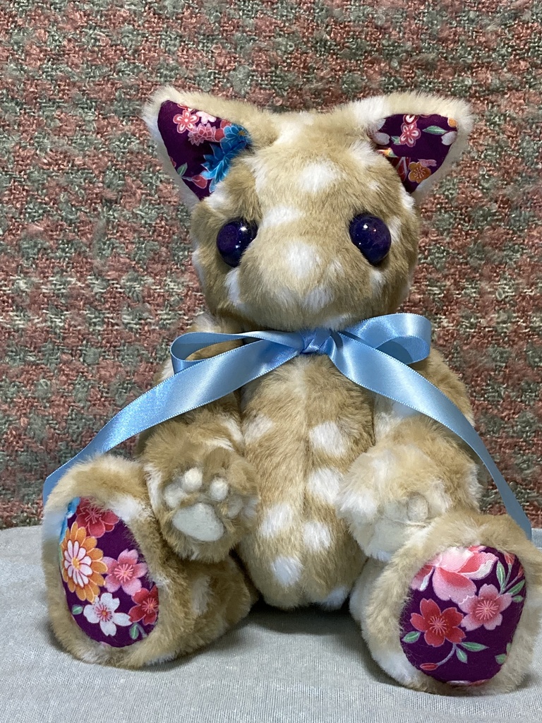 コルコット 瞳の子