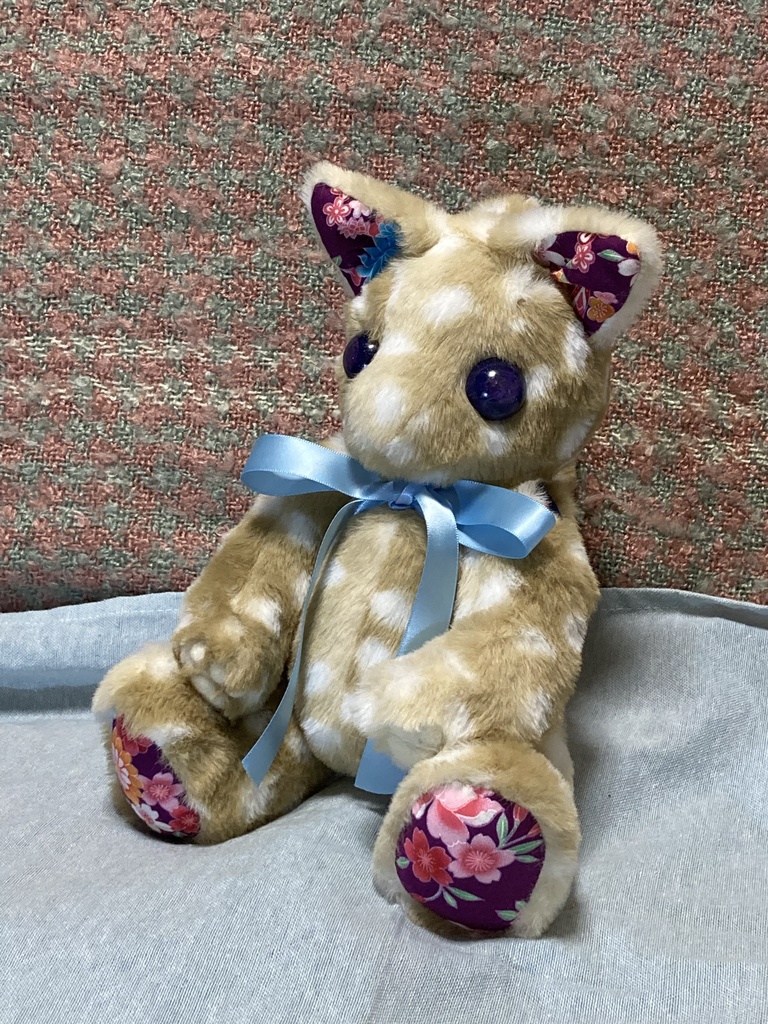 コルコット 瞳の子