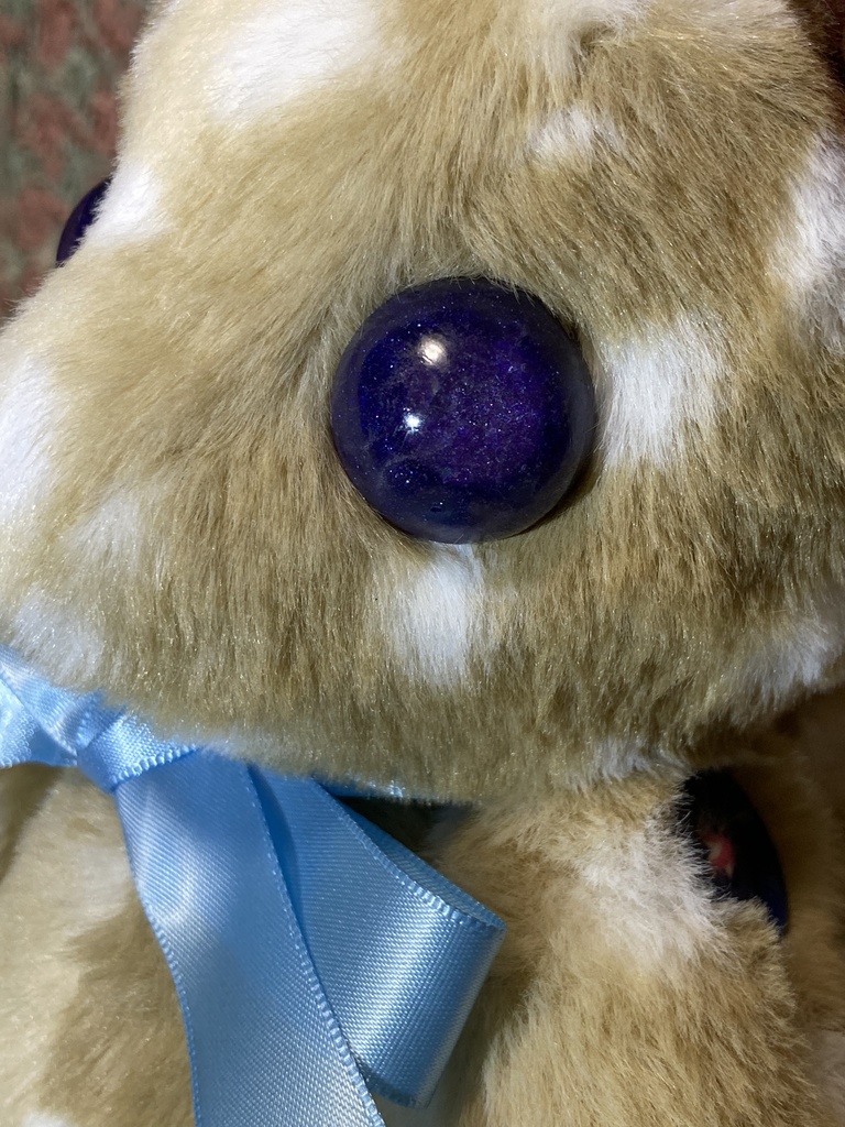 コルコット 瞳の子