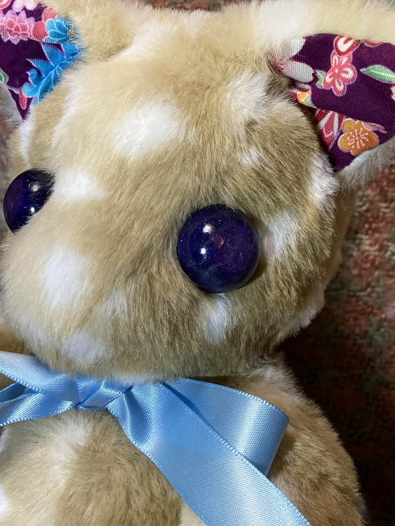 コルコット 瞳の子