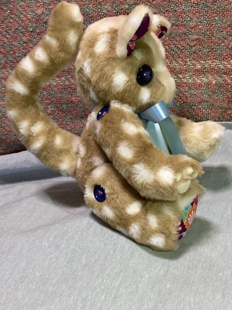 コルコット 瞳の子