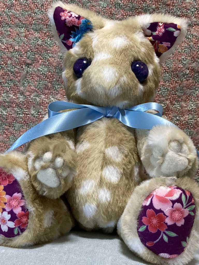 コルコット 瞳の子