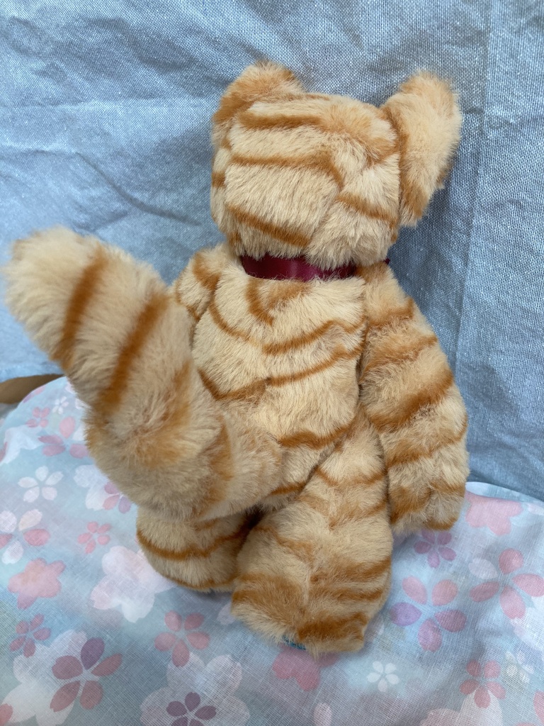 コルコット チビトラ猫 サイズ小さめ