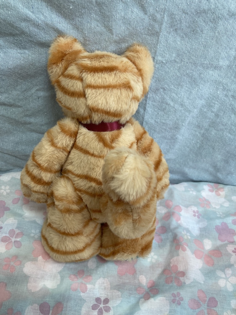 コルコット チビトラ猫 サイズ小さめ