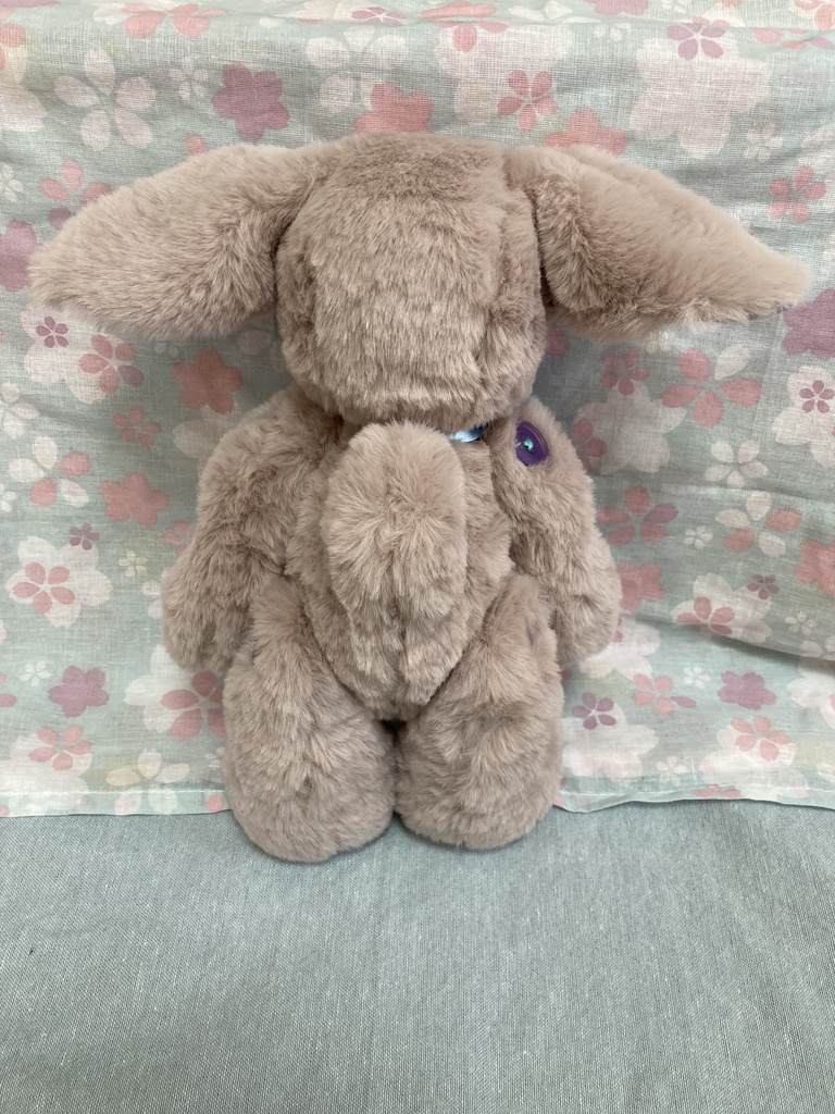 コルコット 耳の大きな迷子