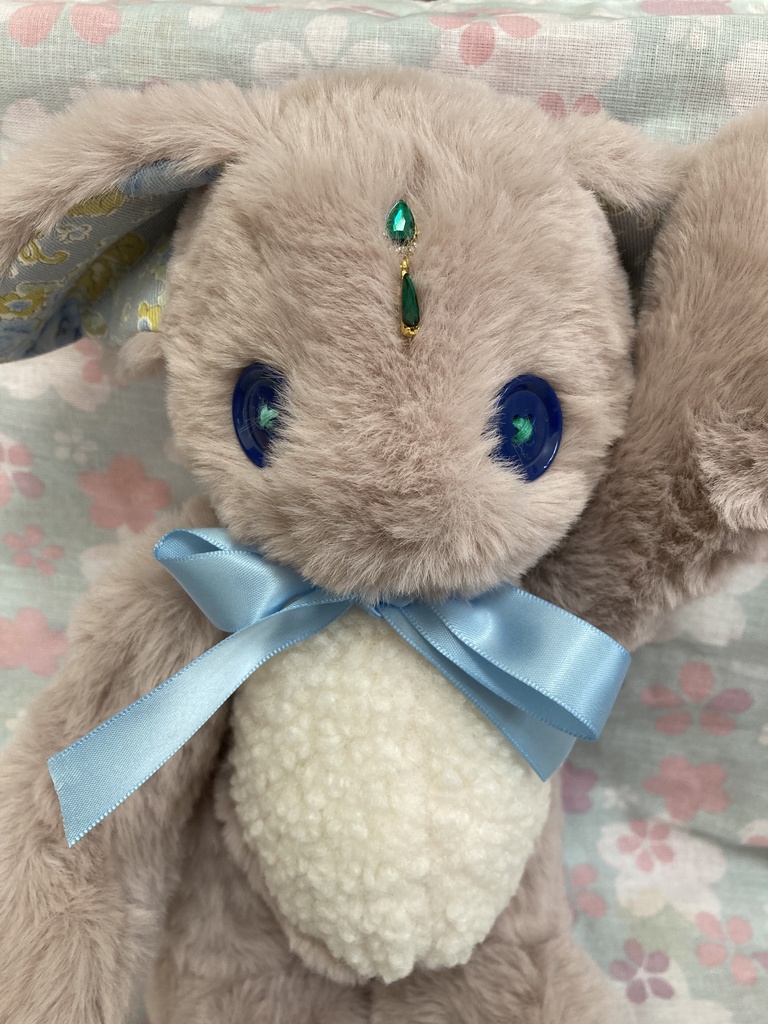 コルコット 耳の大きな迷子