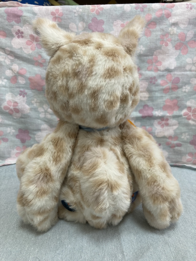 コルコット 赤目