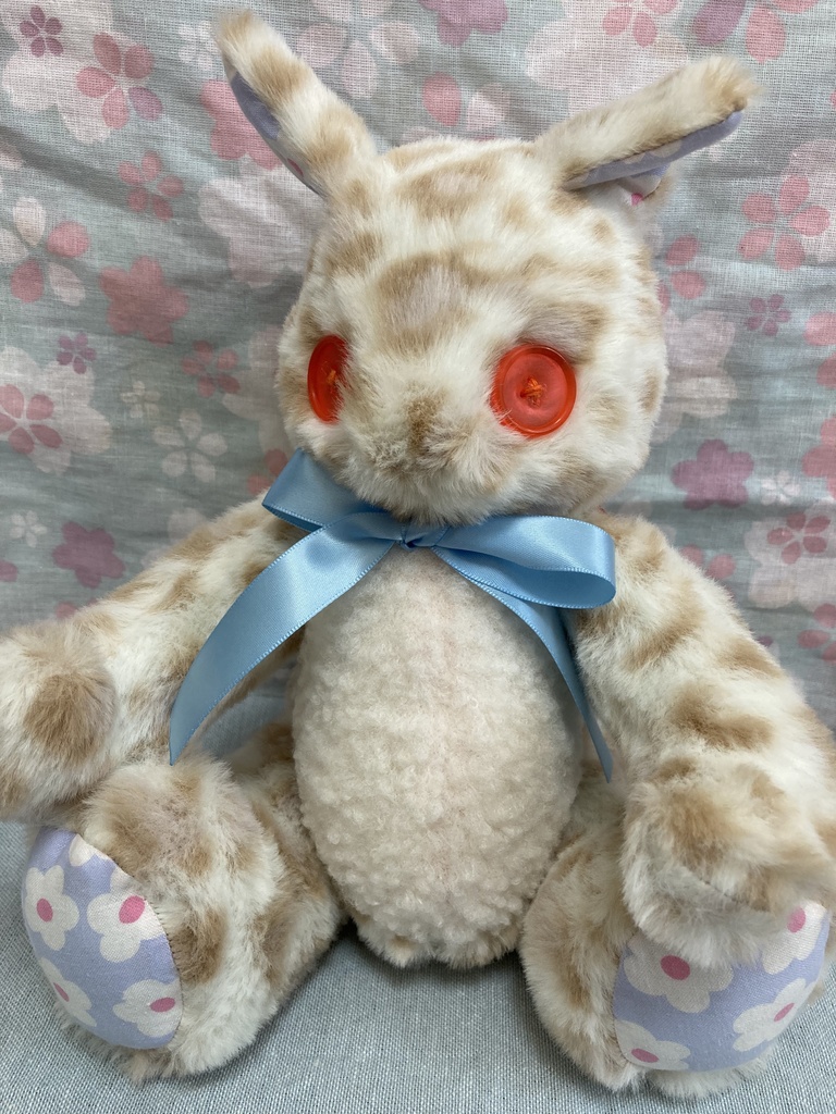 コルコット 赤目