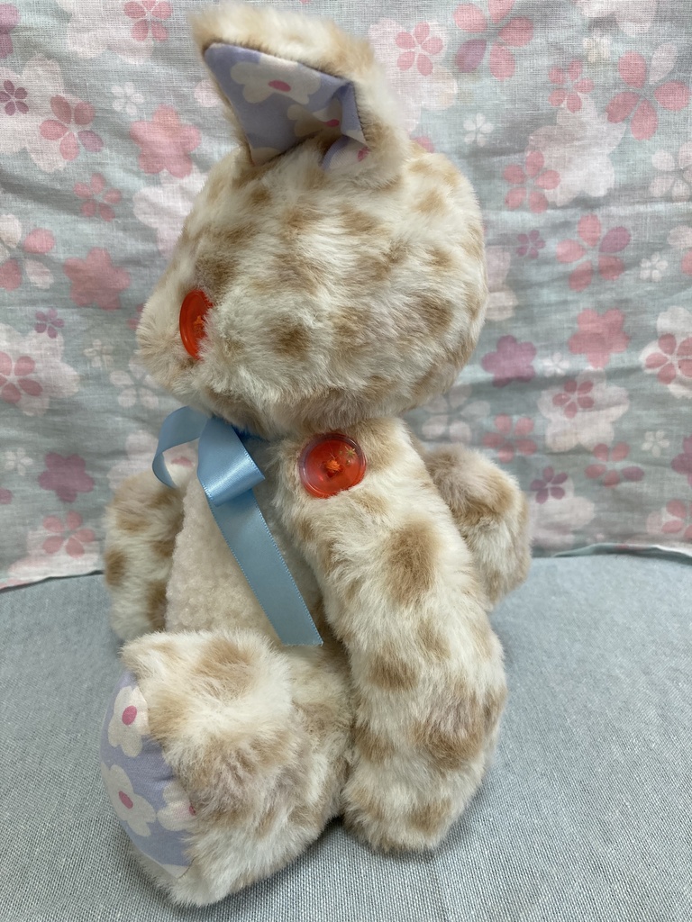 コルコット 赤目