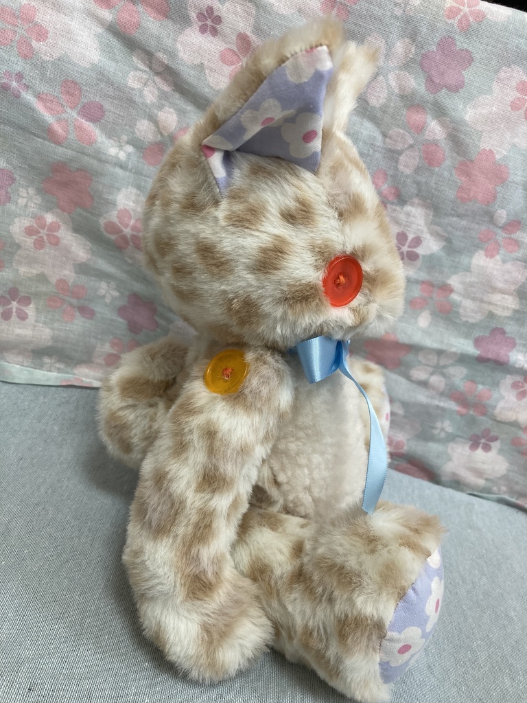 コルコット 赤目