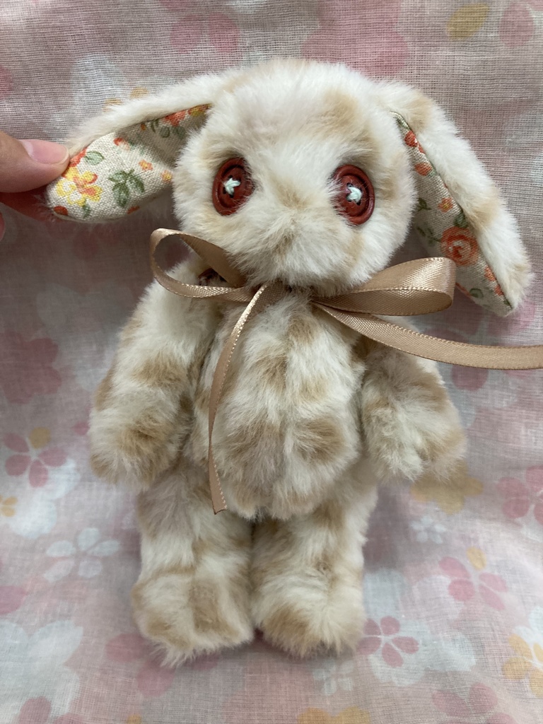 小さなコルコット